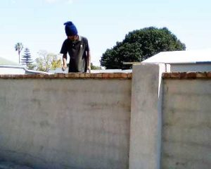 Contractor Building An Exterior Wall